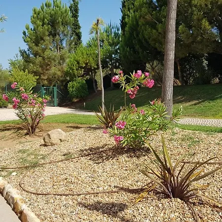 T2 Gardens Piscina E